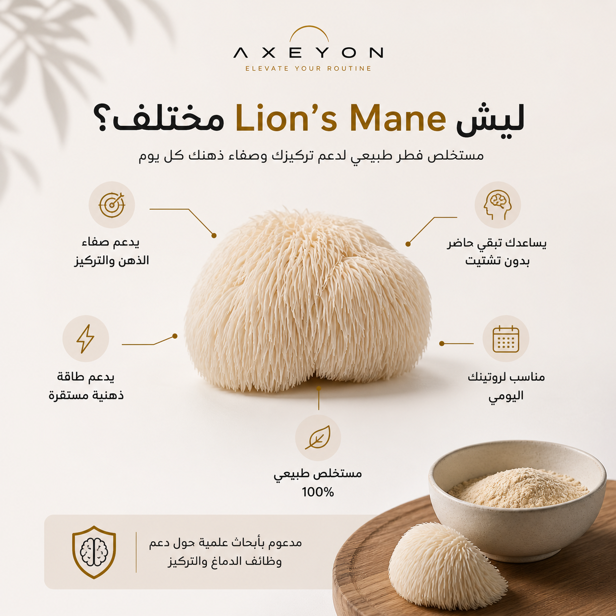 مستخلص فطر عرف الأسد 500 جم